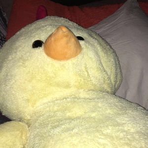 Meet your Posher, Kristy